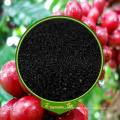 Organic Fertilizer Black Shiny Crystal 85%Min Water Soluble Potassium Humate From Leonardite